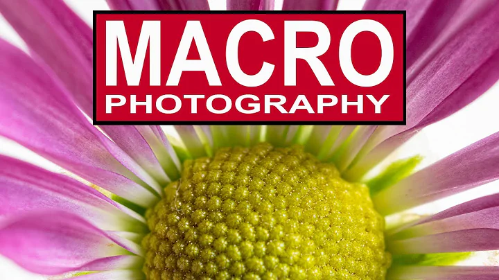 MACRO PHOTOGRAPHY FOR BEGINNERS ON A BUDGET - How to take amazing close up macro photos. - DayDayNews