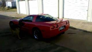 2000 vette brenham tx