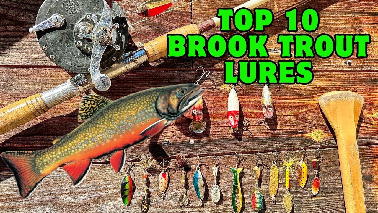 TOP 10 BEST Brook Trout Lures YOU NEED! Spoons, Spinners and More! 