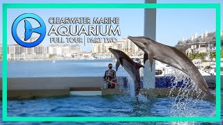 Zoo Tours: Clearwater Marine Aquarium | Full Tour | PART TWO