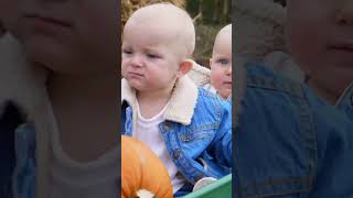 Celebrity So Cute having so much fun in the pumpkin patch - cute baby status youtube shorts video Net Worth