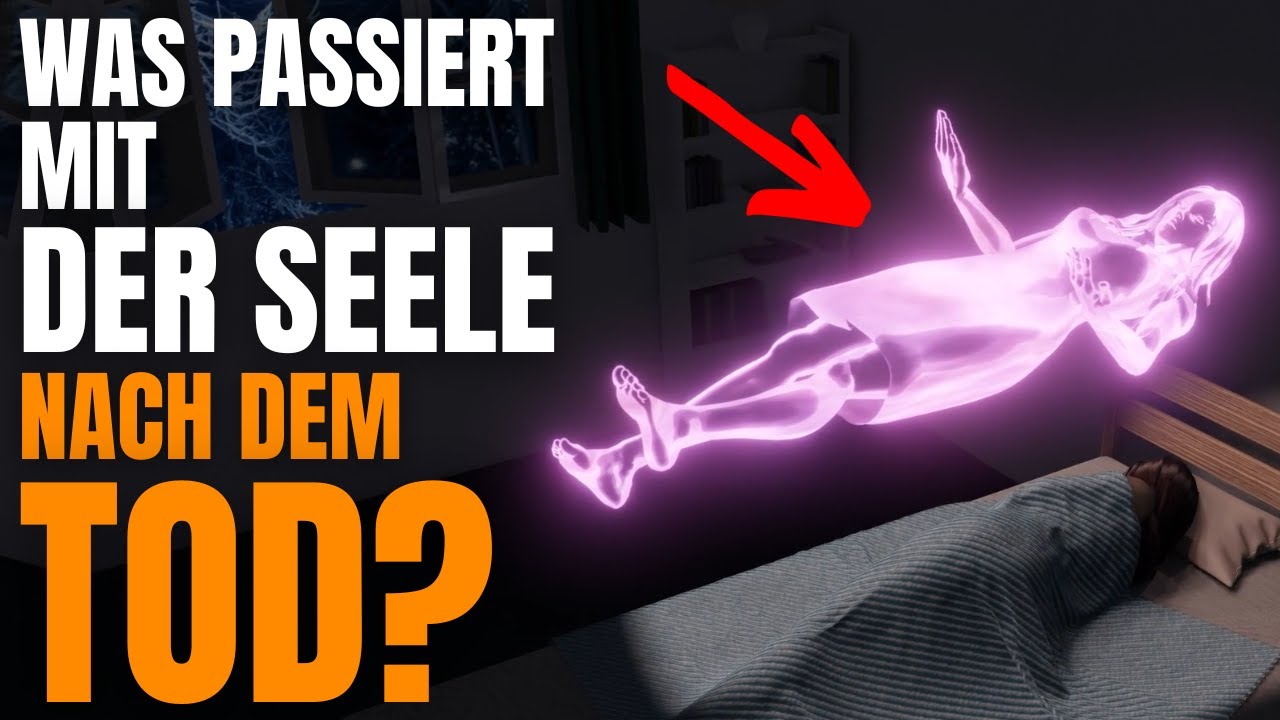 Was Passiert Mit Der Tierseele Nach Dem Tod