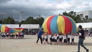 運動会動画 パラバルーン ほし組 すみれの活動報告
