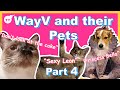 WayV and their pets being a mess | part 4