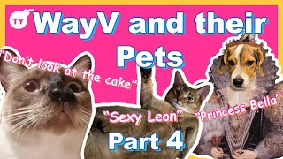 WayV and their pets being a mess | part 4