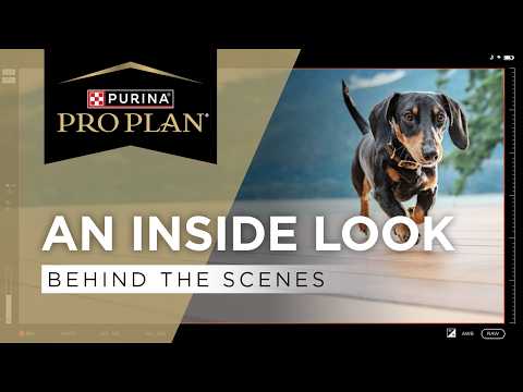 BTS of Pro Plan's Fuel For Life​