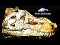 Tyrannosaurus rex  cerveau organes sensoriels et comportement