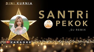 Dini Kurnia - Santri Pekok Karaoke // Dj Remix Version