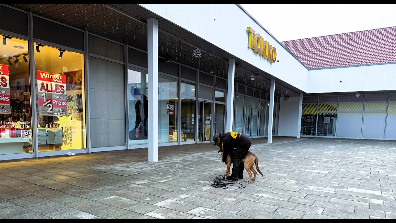 Mantrailing :  Schwieriger Untergrund – warum kurze Trails in der Lernphase erfolgreicher sind