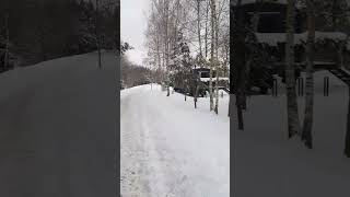 20см снега за день ❄ Литва ☃️🇱🇹