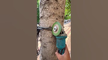 We remove wires and nails from trees and saved millions of trees / How to save Tree 🌳 idea 💡