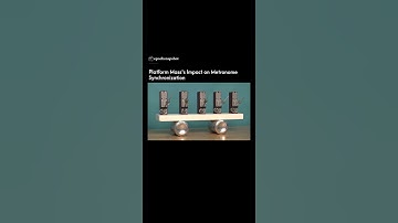 Synchronization of Metronomes #physics