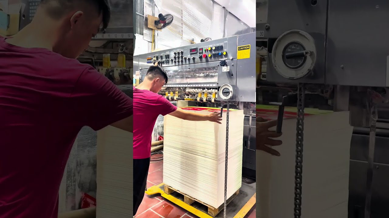 Video 23 Máy in offset Túi hoa quả