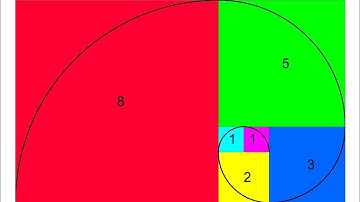 Promotional Video | Fibonacci Numbers and the Golden Ratio