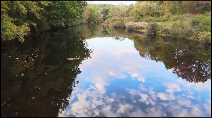 Willimantic River by Heron Cove - drone flight