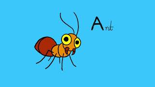 Learn Insects and Bugs for Kids   Cute Insect a to z Cartoon Compilation   Club Baboo   YouTube 480p