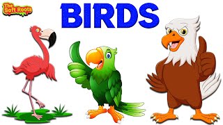 Birds Name | Learn Birds Name With Pictures | A to Z Birds Name screenshot 2
