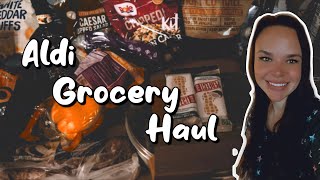 Grocery Haul || Aldi Haul || Instacart Delivery || Andrea Shaenanigans