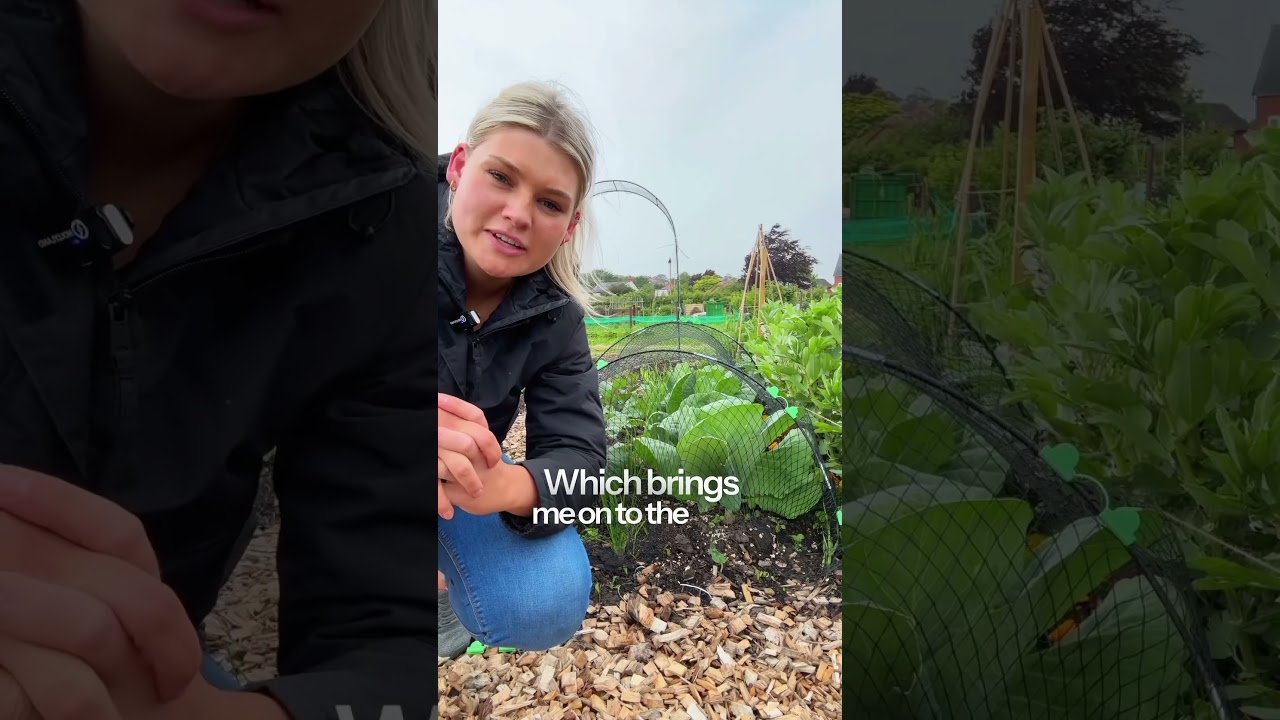 Why should you plant lots of different things in the same space? 🌱