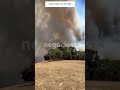 Incendio fuera de control en Australia genera un aterrador “diablo de fuego”