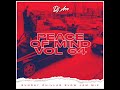 Peace of Mind Vol 64 | Sunday Chillas Slow Jam Mix | DJ Ace ♠️