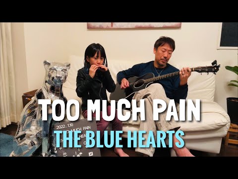 9歳が歌う「TOO MUCH PAIN」ブルーハーツ / ギター カバー