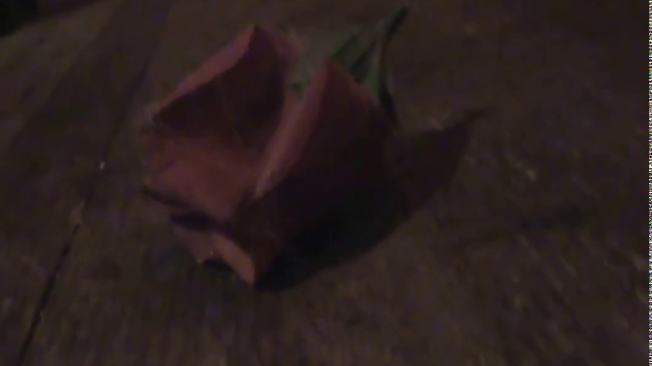 Fake Dead Flowers The Poisonous Void YouTube