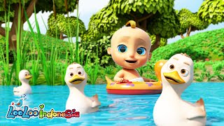 Download lagu Lima bebek kecil - Five Little Duck | Lagu Anak Kompilasi Indonesia | LooLoo Indonesia