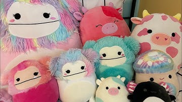 Squishmallow Hunting At Walgreens!