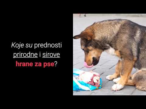 Video: Domaći recepti za pse s osjetljivim želucima