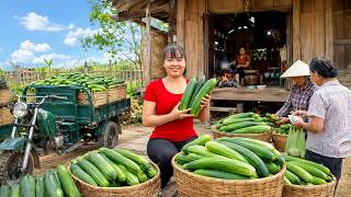 TIMELAPSE -- Farm Fresh Cucumbers ! 🥒 Creamy Salad, Cool Drinks & Detox Water For Healthy Skin!