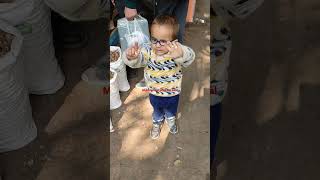 funny balloons cute baby anas reels baby baby riding cute chocolaty