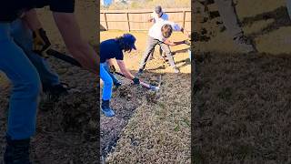 The Ultimate Backyard Transformation Journey