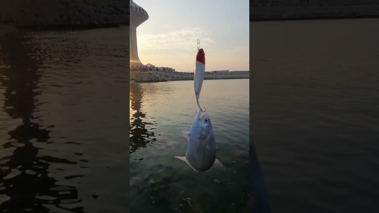 REDHEAD WTD LURE 