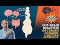 Gut-Brain Connection: Your Whole Body Health Secret