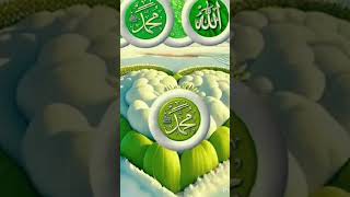 king.of.quran #ytshorts #beautifulsong #like share comments 🤲 🕋 🎵