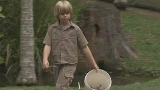 Steve Irwin's son, Robert, feeds a saltwater crocodile at the family zoo in Australia