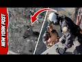 Hikers Dangle Dangerously During Rescue Mission