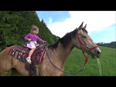 Video: Porucha Svalového Třesu U Koní