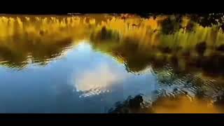 Huzuru Yalan Dolan, Var Mıdır Mutlu Olan.?