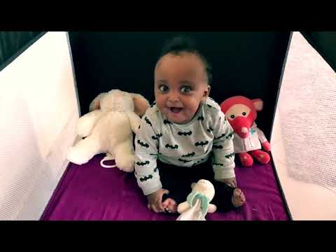 Lil Baliil Family Vacation Video Heesti Zayn