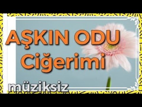 Aşkın Odu Ciğerimi / GÜL BAHÇEM İLAHİLERİ