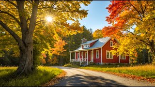 Gentle music for the soul and LIFE, and Birdsong Calms the nervous system.#relaxingmusic