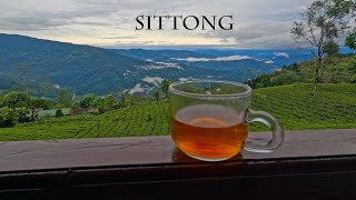 Sittong Tour Plan | Sightseeing #shorts #viral #foryou #travel #youtubeshorts
