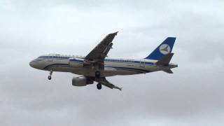 Azerbaijan Airlines Airbus A319 4K - Az03