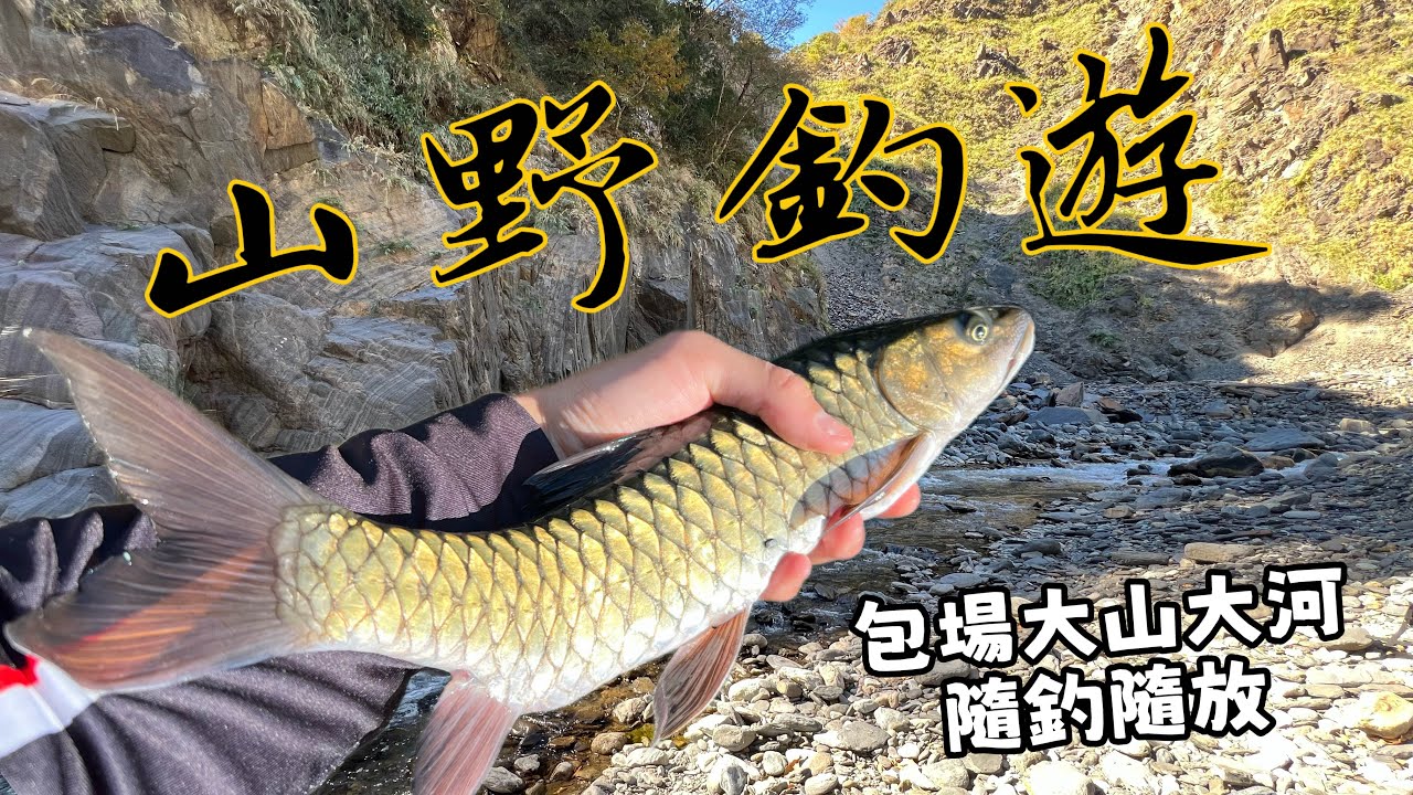【溪釣24】時隔一年再次探訪深山霞面/巨捲出水/隨釣隨放身心舒暢