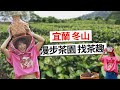 【#宜蘭】一日茶農🌱 採茶、製茶、DIY體驗｜星源茶園｜GoGoTaiwan @FTV_Show