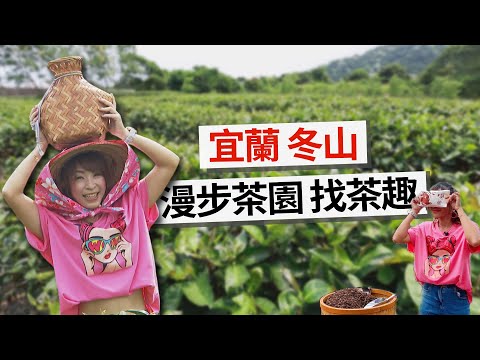 【#宜蘭景點】一日茶農???? 採茶、製茶、DIY體驗｜星源茶園｜GoGoTaiwan ‪@FTV_Show‬