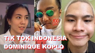 DOMINIQUE KOPLO TIK TOK INDONESIA | DJ REMIX LAGU DOMINIQUE KOPLO TIK TOK VIRAL 2020
