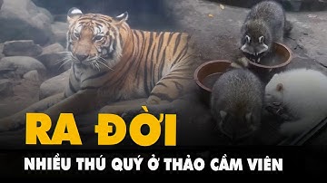 Thêm nhiều loài thú quý sinh tại Thảo cầm viên Sài Gòn